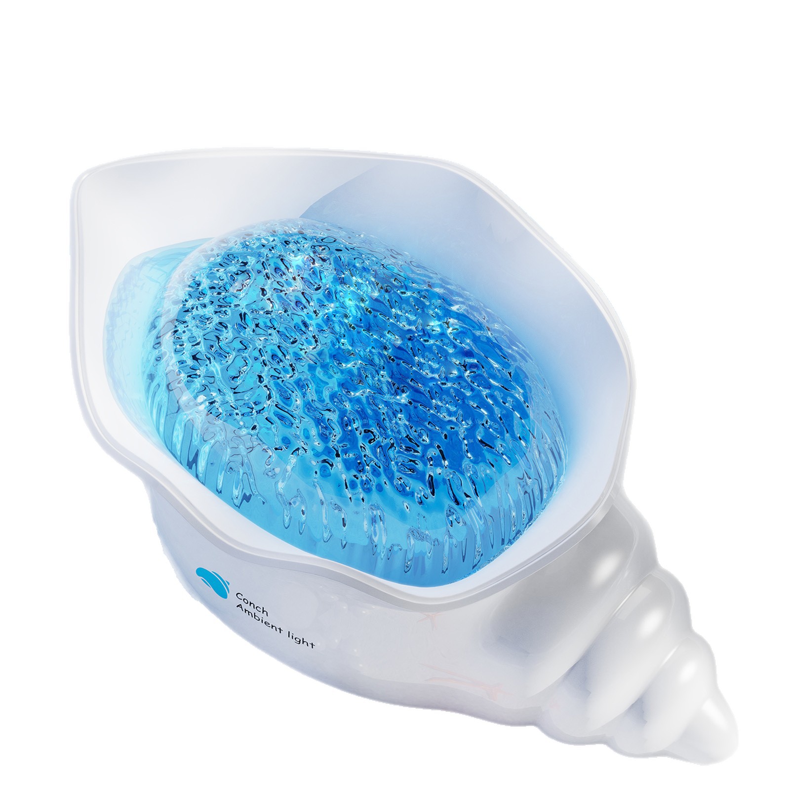 Conch Shape Sea Wave Projectio – Audio Music Wave Bewertung und Preis