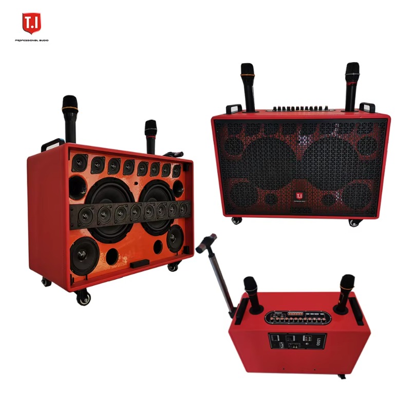Portable Multi-Driver Mini Mus – Audio Music Free Bewertung und Preis